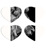 Магнитные фотопазлы Сердце 50 на 50 набор 4 штуки 