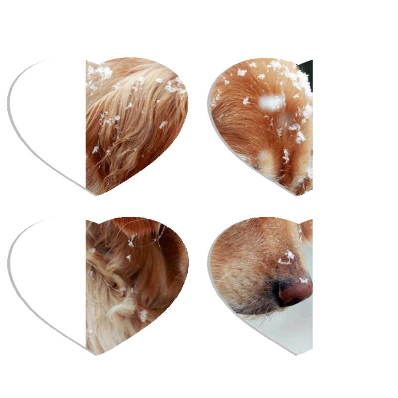 Магнитные фотопазлы Сердце 50 на 50 набор 4 штуки Golden Retriever