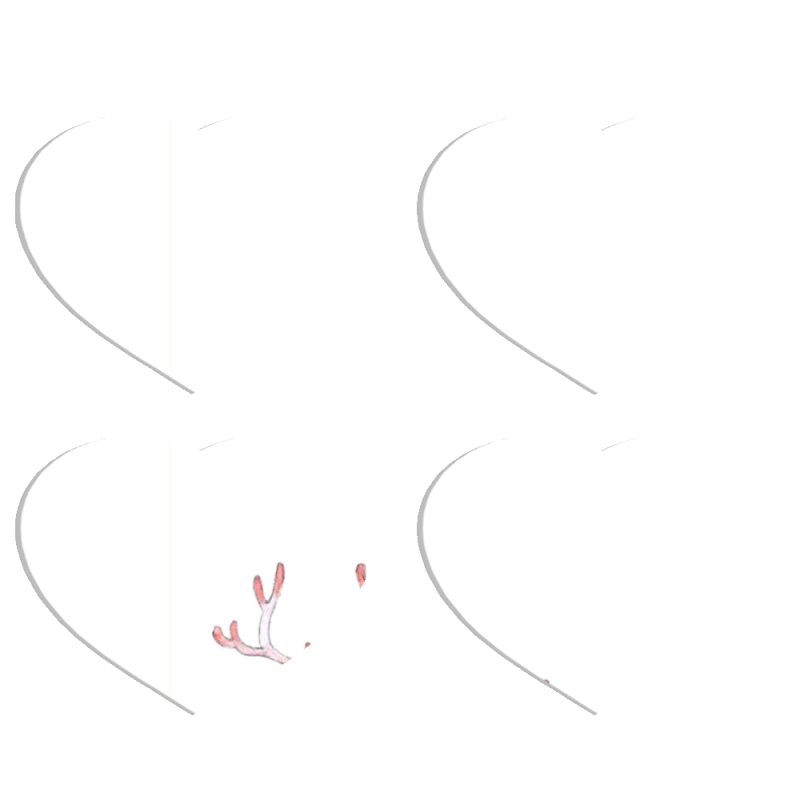 Магнитные фотопазлы Сердце 50 на 50 набор 4 штуки 