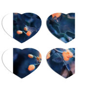 Магнитные фотопазлы Сердце 50 на 50 набор 4 штуки 