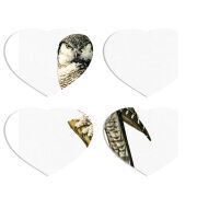 Магнитные фотопазлы Сердце 50 на 50 набор 4 штуки 