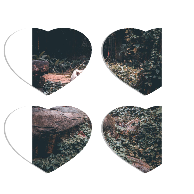 Магнитные фотопазлы Сердце 50 на 50 набор 4 штуки 