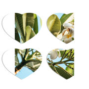 Магнитные фотопазлы Сердце 50 на 50 набор 4 штуки 