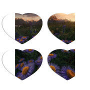 Магнитные фотопазлы Сердце 50 на 50 набор 4 штуки 