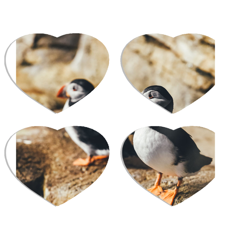 Магнитные фотопазлы Сердце 50 на 50 набор 4 штуки 