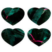 Магнитные фотопазлы Сердце 50 на 50 набор 4 штуки 