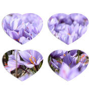 Магнитные фотопазлы Сердце 50 на 50 набор 4 штуки 
