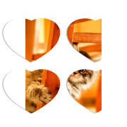 Магнитные фотопазлы Сердце 50 на 50 набор 4 штуки 