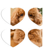 Магнитные фотопазлы Сердце 50 на 50 набор 4 штуки 