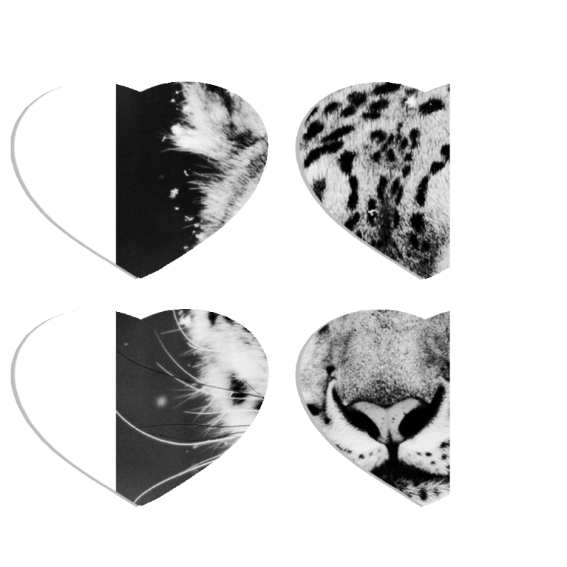 Магнитные фотопазлы Сердце 50 на 50 набор 4 штуки 