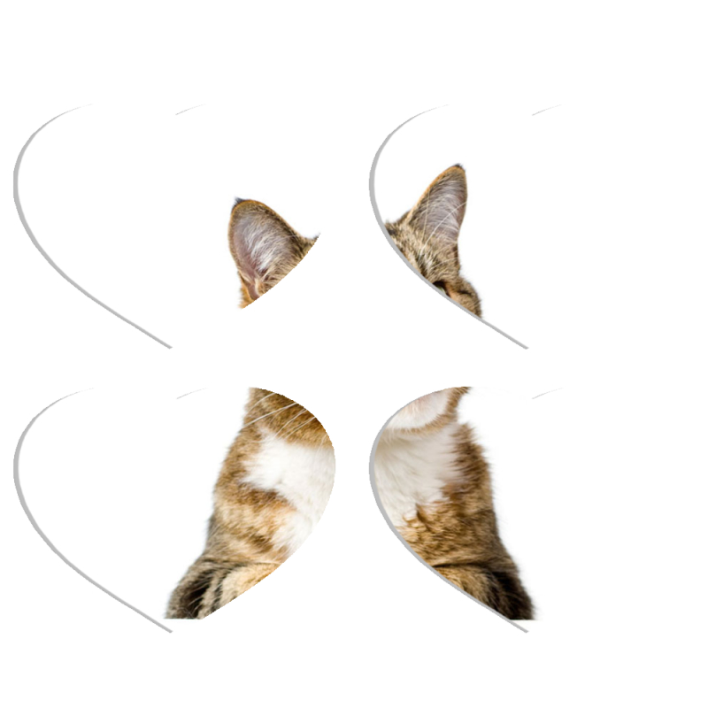 Магнитные фотопазлы Сердце 50 на 50 набор 4 штуки 