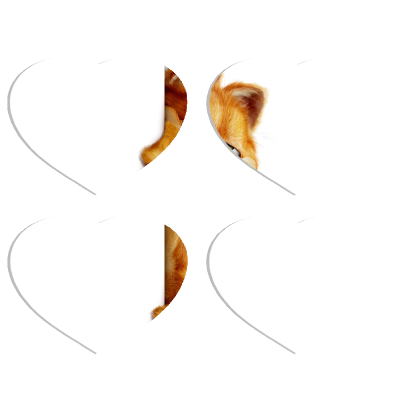 Магнитные фотопазлы Сердце 50 на 50 набор 4 штуки 