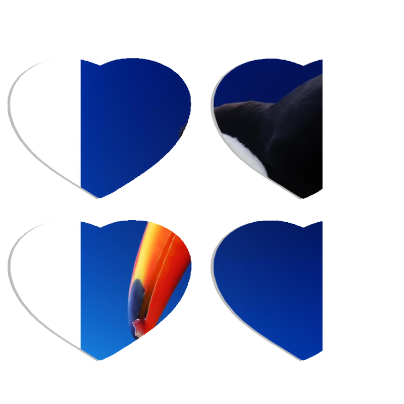 Магнитные фотопазлы Сердце 50 на 50 набор 4 штуки 