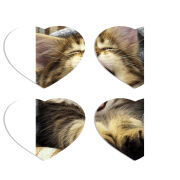 Магнитные фотопазлы Сердце 50 на 50 набор 4 штуки 