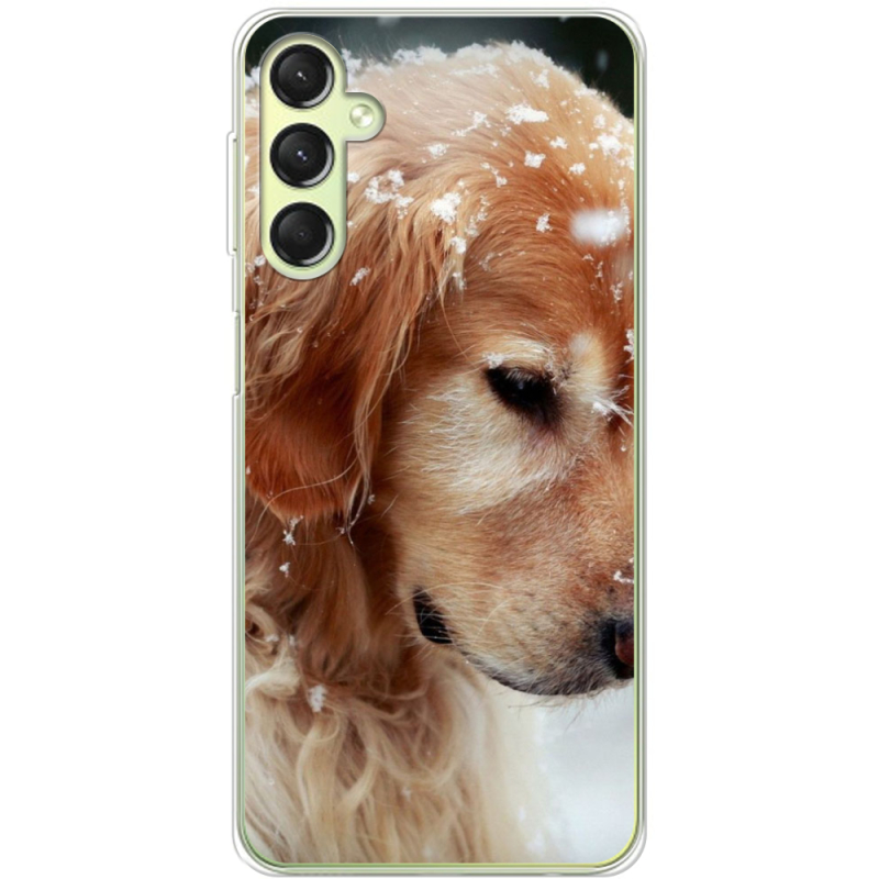 Чехол BoxFace Samsung Galaxy A24 (A245) Golden Retriever