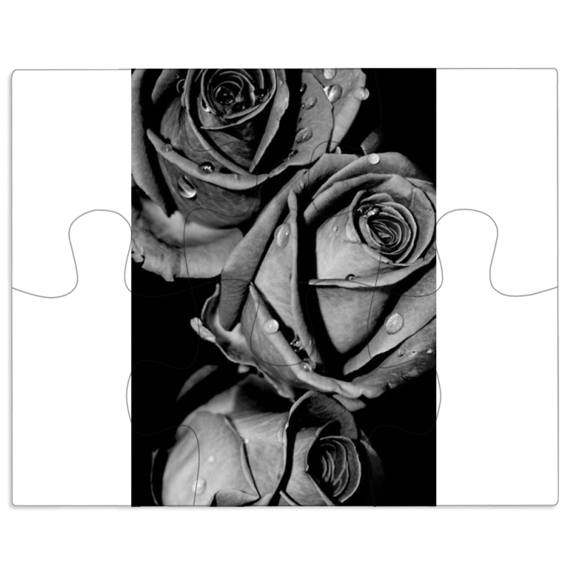 Магнитные фотопазлы 100 на 80 Black and White Roses