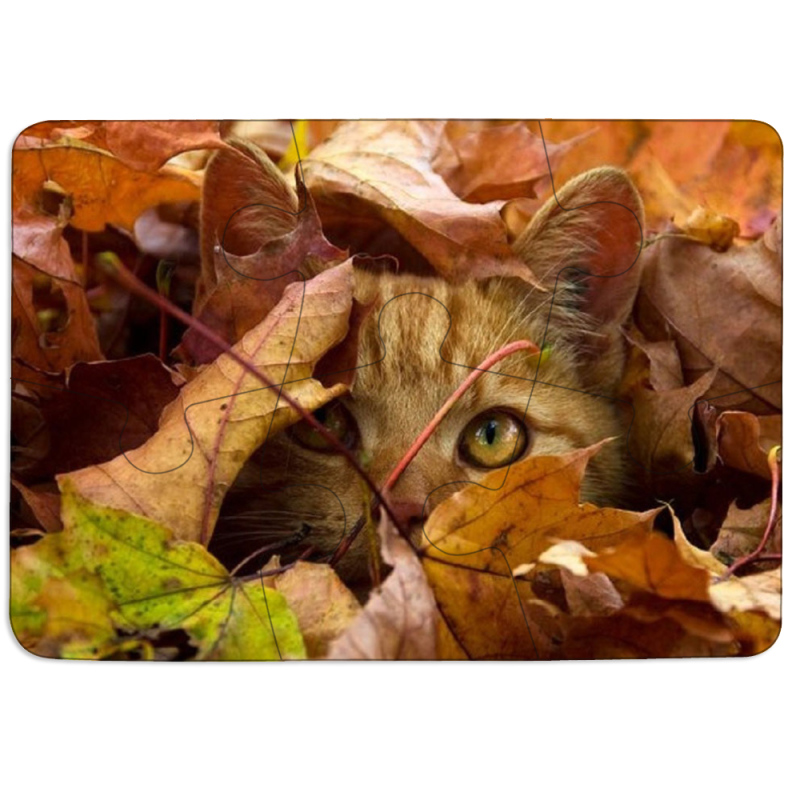 Магнитные фотопазлы 85 на 60 