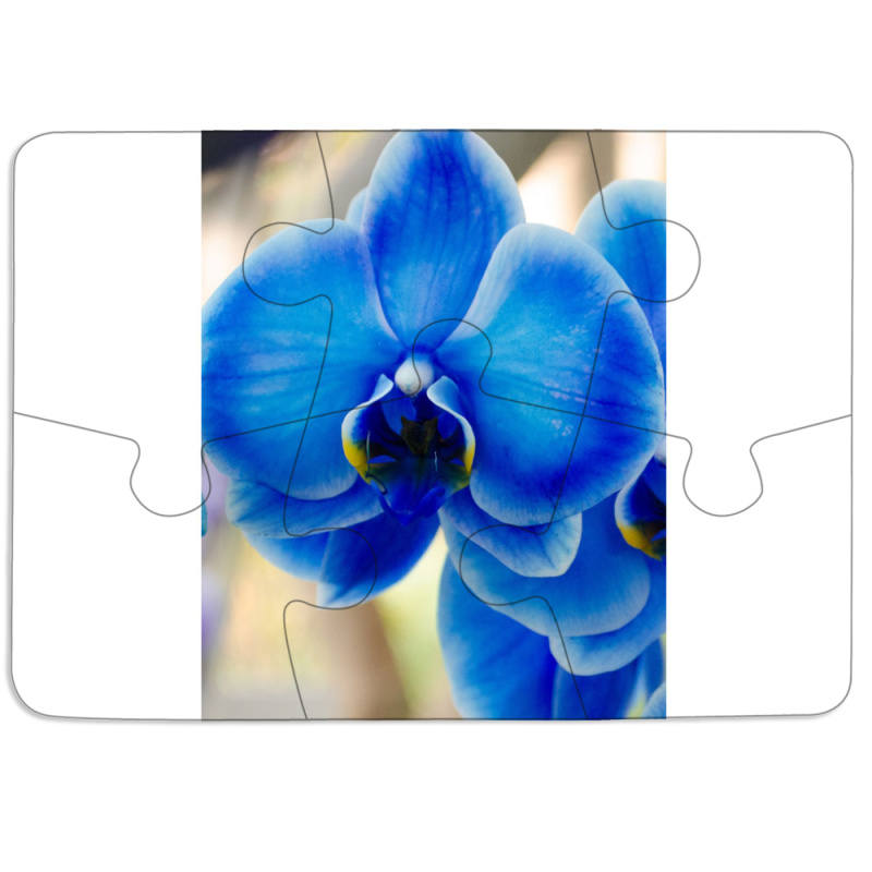 Магнитные фотопазлы 85 на 60 