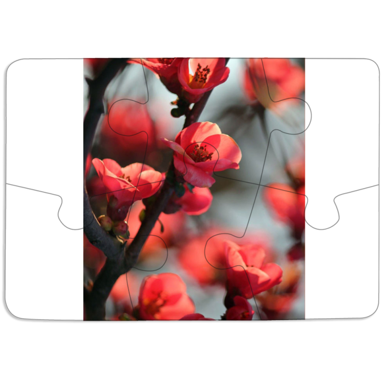 Магнитные фотопазлы 85 на 60 Awakening Spring