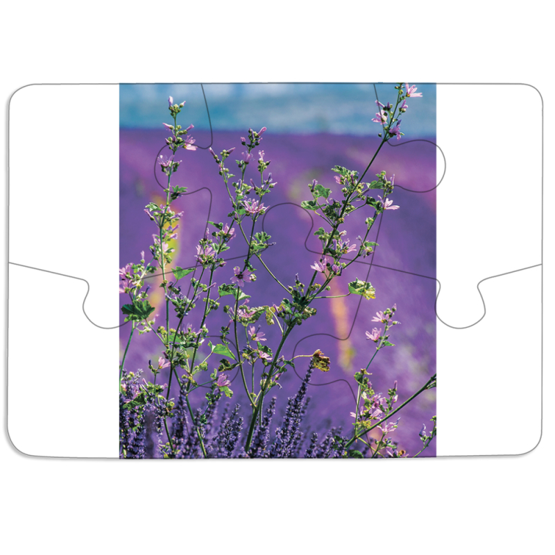 Магнитные фотопазлы 85 на 60 Lavender Field