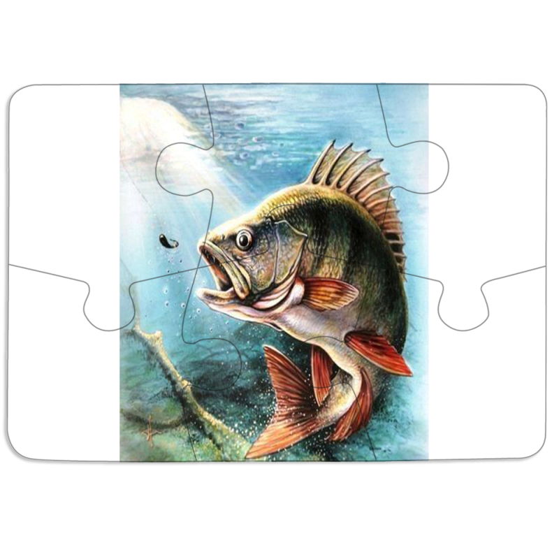 Магнитные фотопазлы 85 на 60 Полосатый Бандит