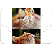 Магнитные фотопазлы 85 на 60 