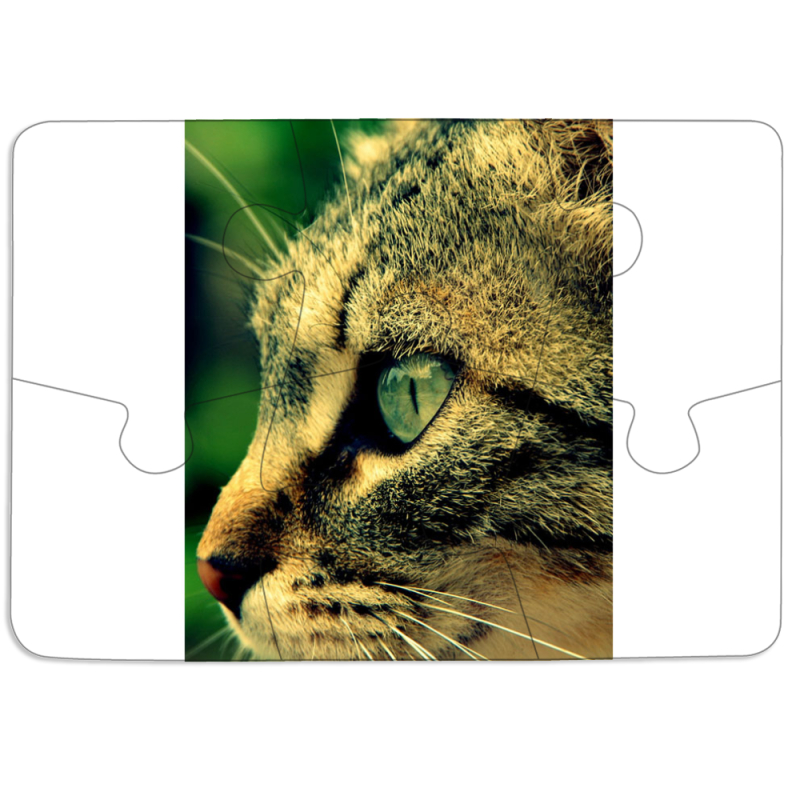 Магнитные фотопазлы 85 на 60 