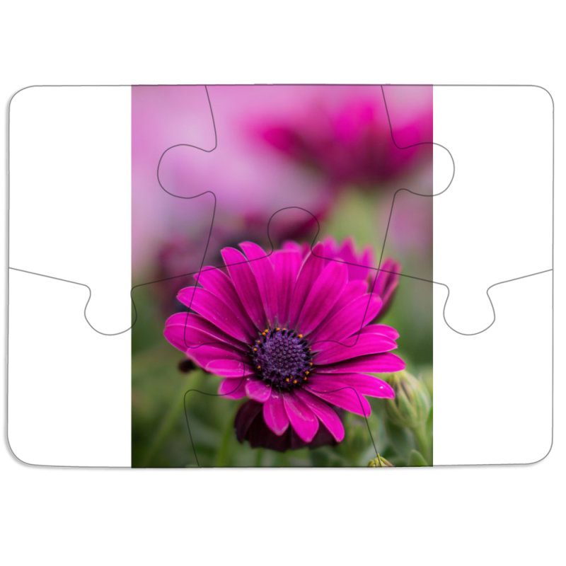 Магнитные фотопазлы 85 на 60 