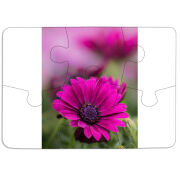 Магнитные фотопазлы 85 на 60 