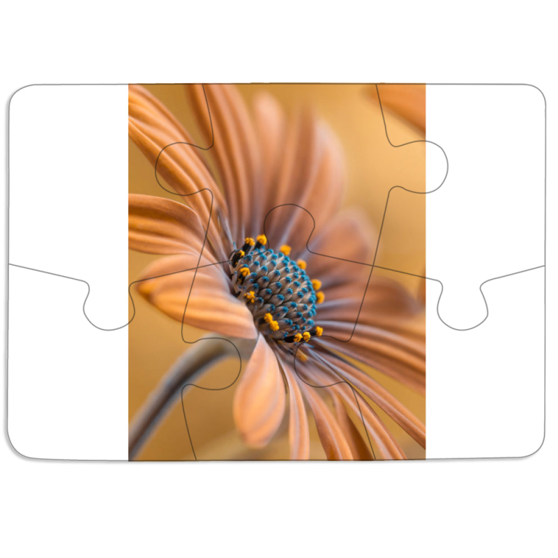 Магнитные фотопазлы 85 на 60 