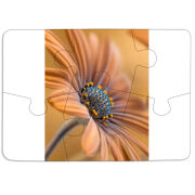 Магнитные фотопазлы 85 на 60 