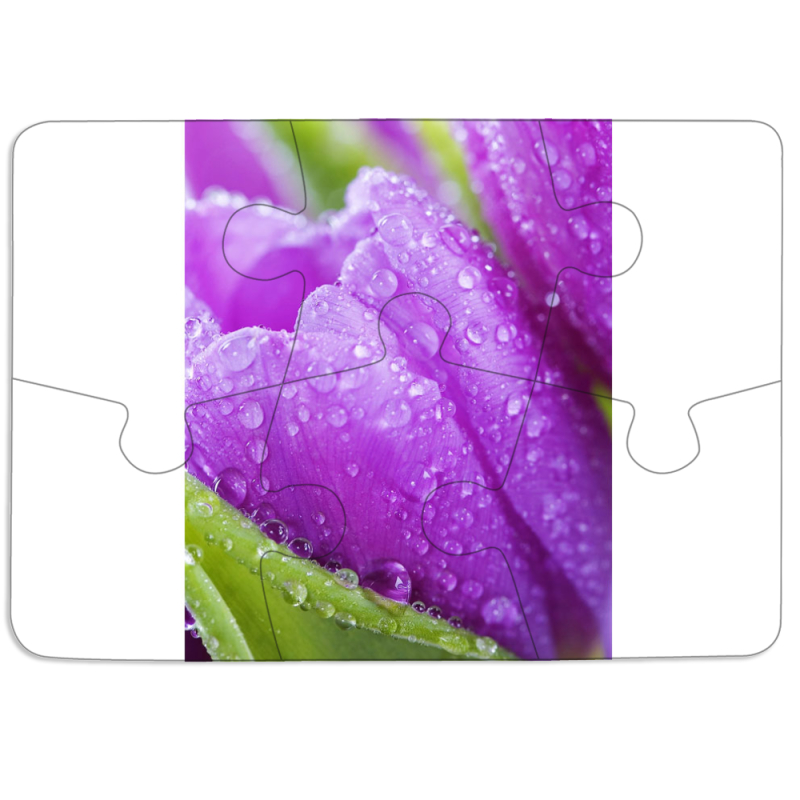 Магнитные фотопазлы 85 на 60 