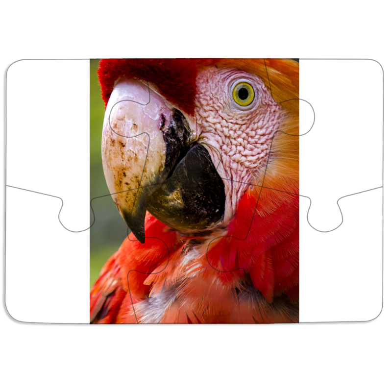 Магнитные фотопазлы 85 на 60 