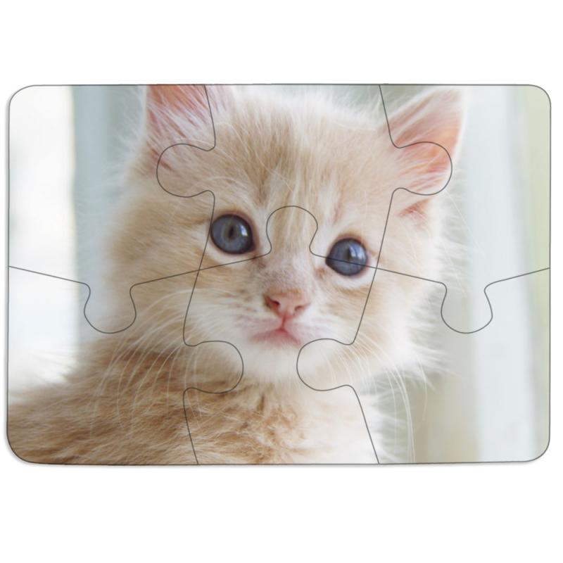 Магнитные фотопазлы 85 на 60 Animation Kittens