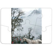 Магнитные фотопазлы 85 на 60 