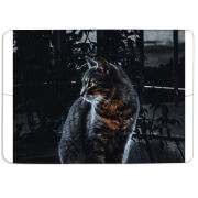 Магнитные фотопазлы 85 на 60 