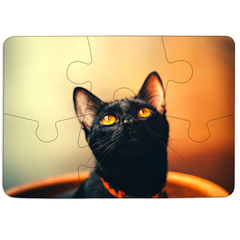 Магнитные фотопазлы 85 на 60 