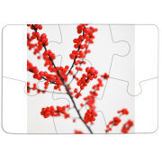 Магнитные фотопазлы 85 на 60 