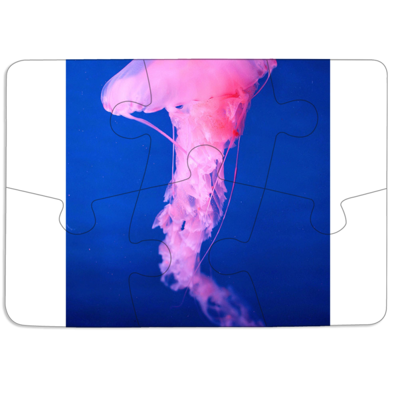 Магнитные фотопазлы 85 на 60 