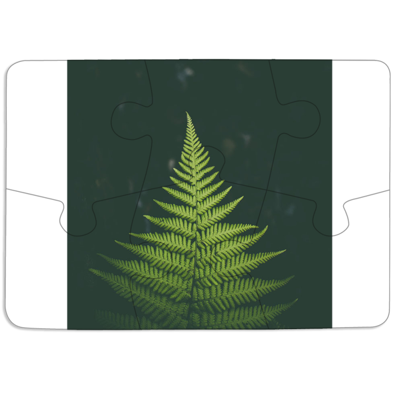 Магнитные фотопазлы 85 на 60 