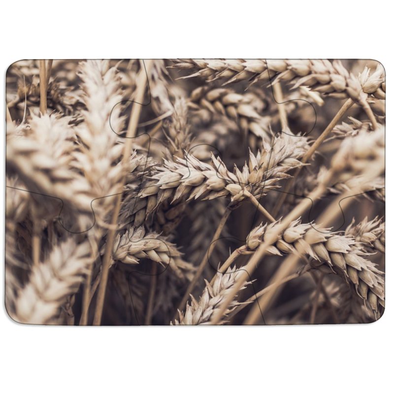 Магнитные фотопазлы 85 на 60 