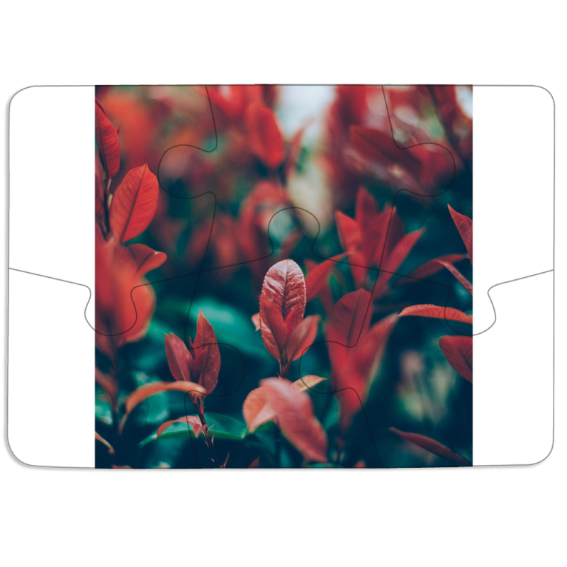 Магнитные фотопазлы 85 на 60 