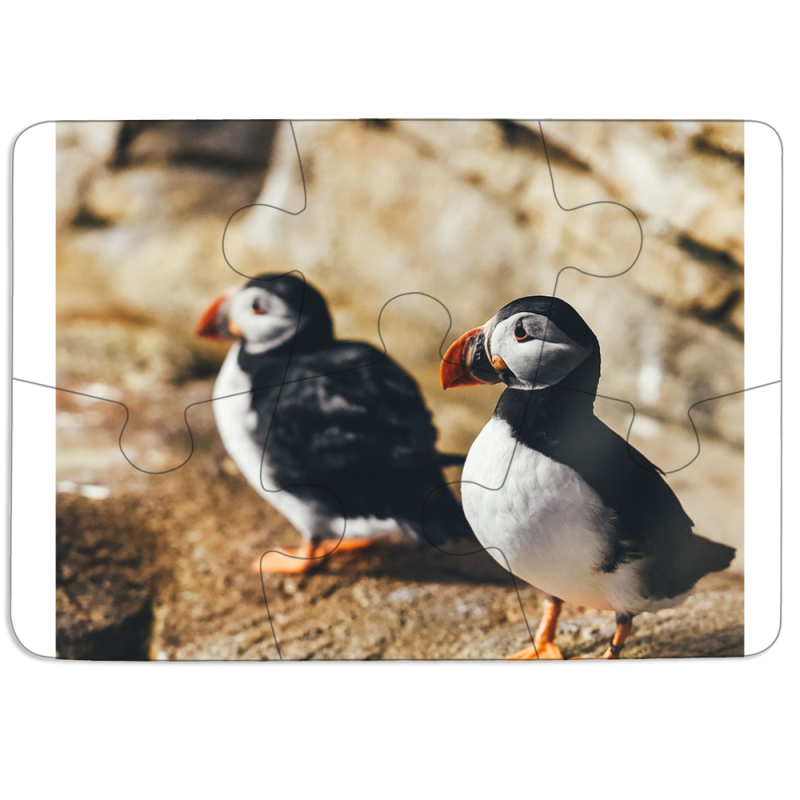 Магнитные фотопазлы 85 на 60 