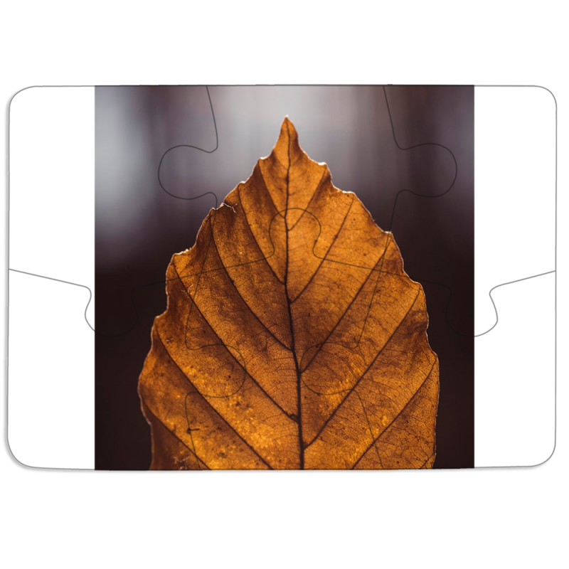 Магнитные фотопазлы 85 на 60 