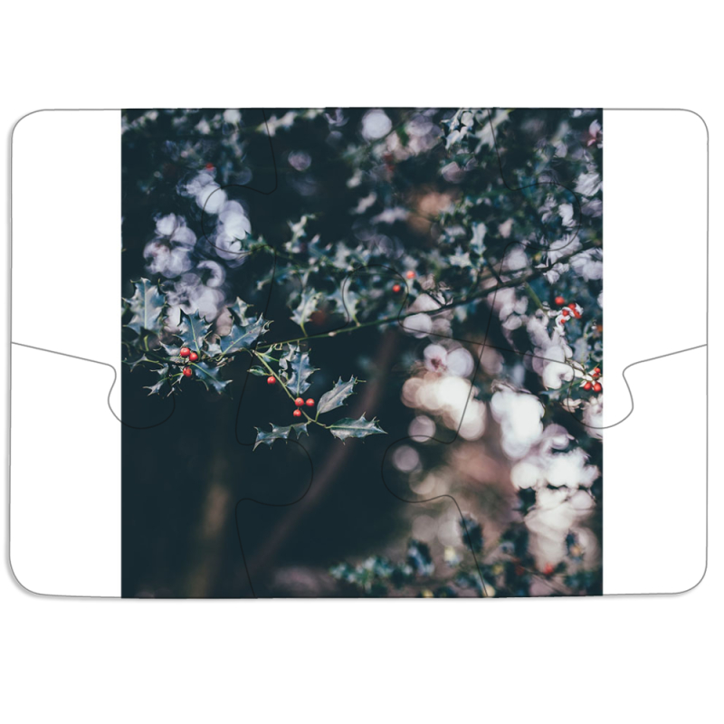 Магнитные фотопазлы 85 на 60 