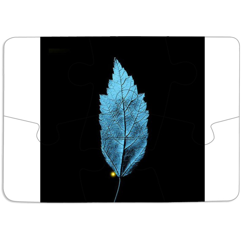 Магнитные фотопазлы 85 на 60 