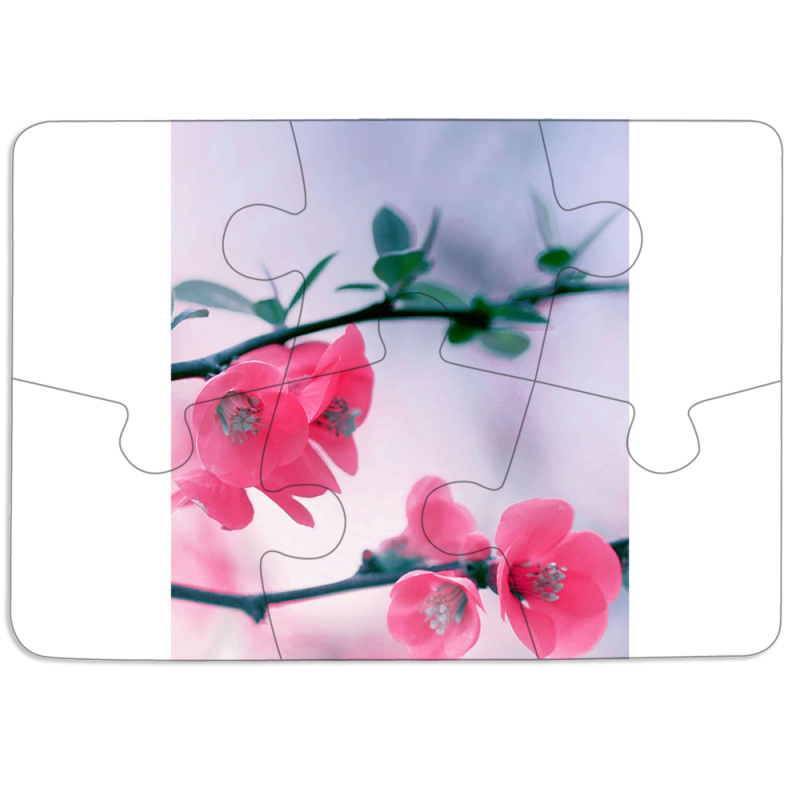 Магнитные фотопазлы 85 на 60 