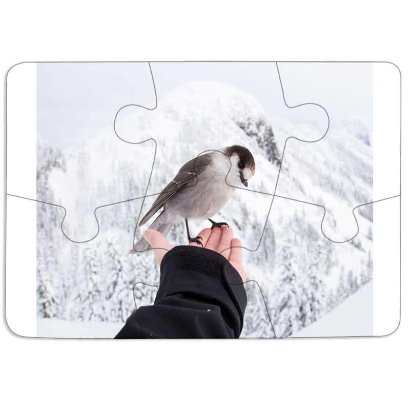 Магнитные фотопазлы 85 на 60 