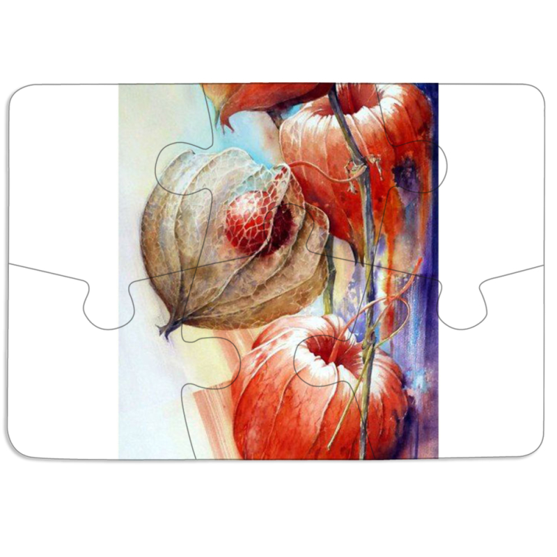 Магнитные фотопазлы 85 на 60 