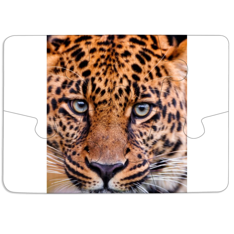 Магнитные фотопазлы 85 на 60 